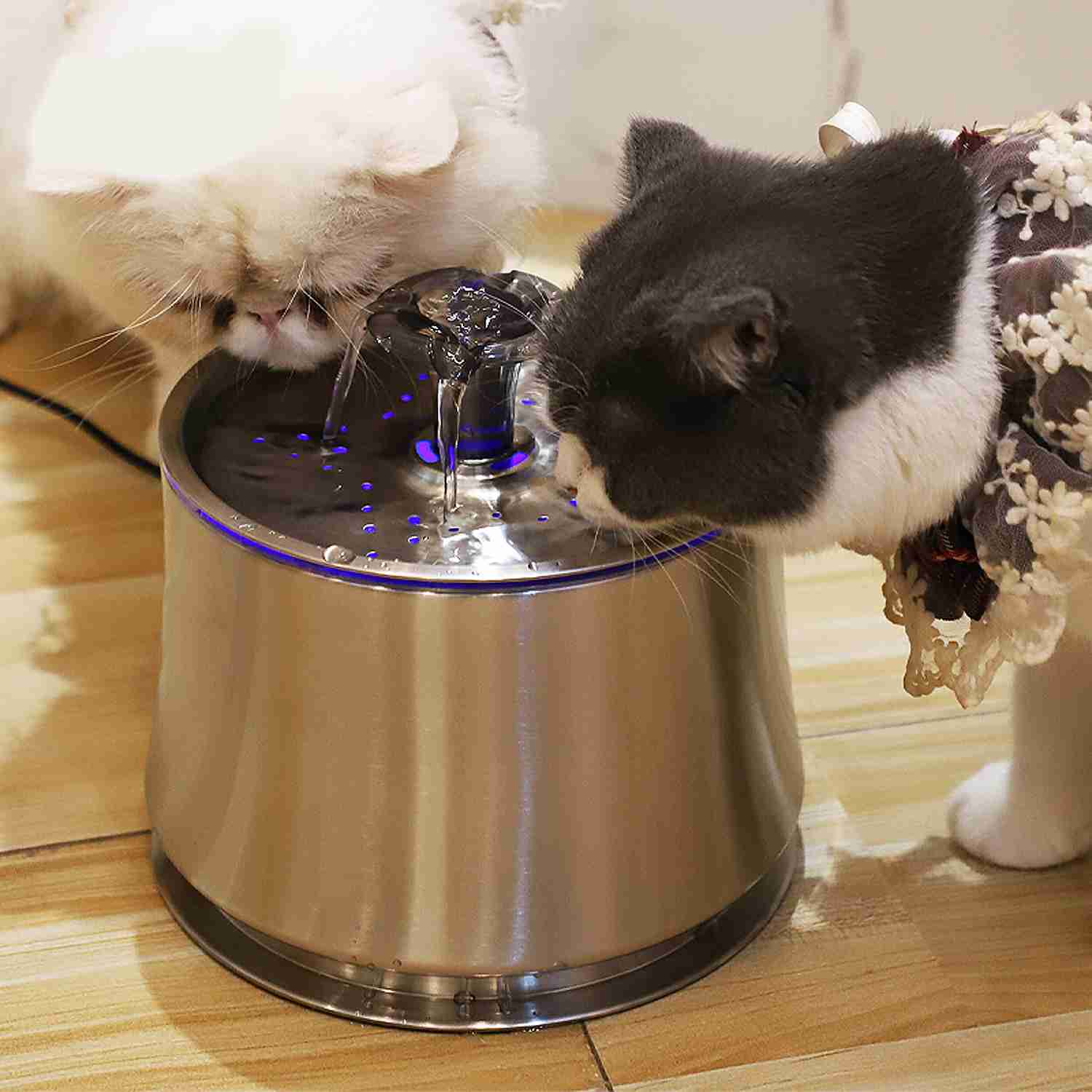 How Often Change Cat Water Fountain: Optimal Hydration Tips