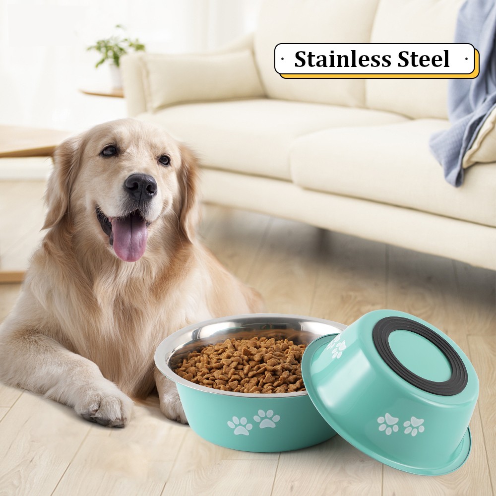 ANYPET Slow Feeder Bowl, Elevated, Double Transparent for Cats, Small Dogs,  Pet Automatic Water Feeder with Water Bottle, Blue